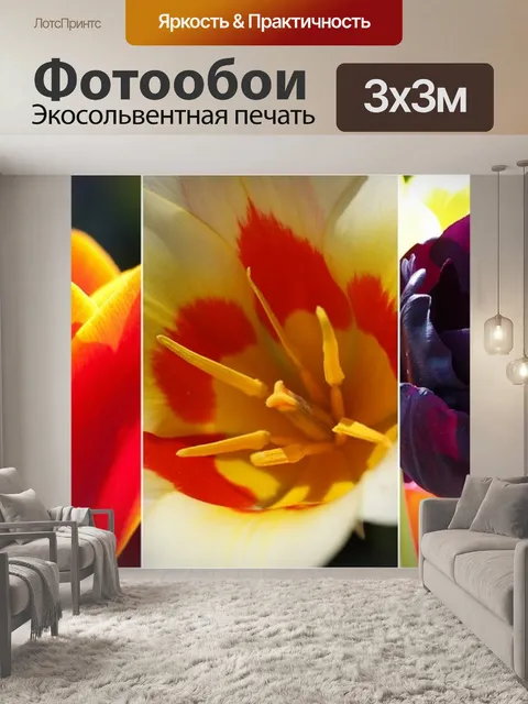 Фотообои Тюльпаны