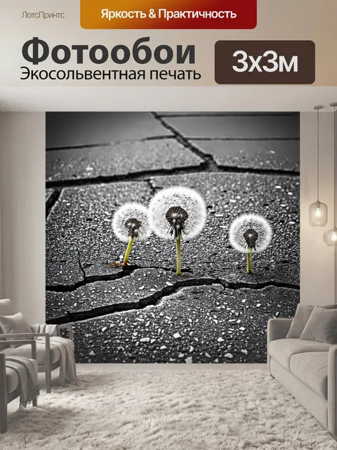 Фотообои нежные одуванчики, поднимающиеся сквозь трещины асфальта, символизируя жизнь и стойкость в градусах…