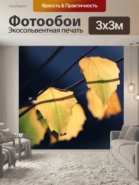Фотообои Листья