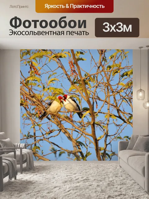 Фотообои Птицы