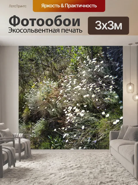 Фотообои Полевые цветы