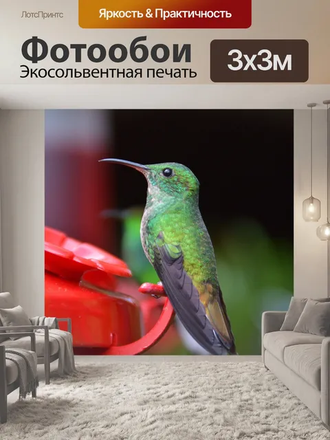 Фотообои Птица