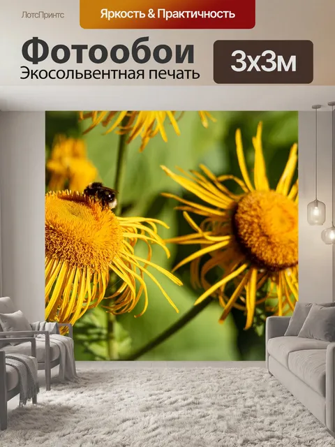Фотообои Цветы