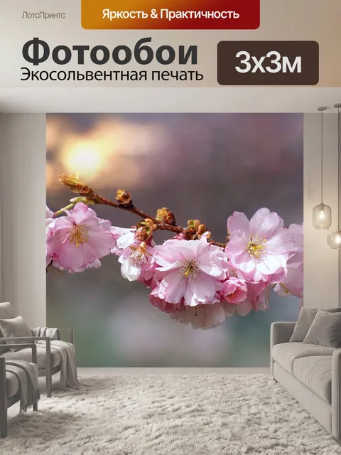 Фотообои Сакуры филиал цветы расцветает