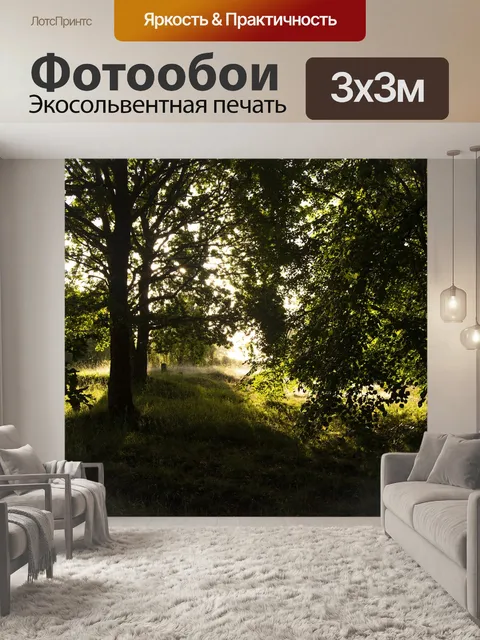 Фотообои Лес