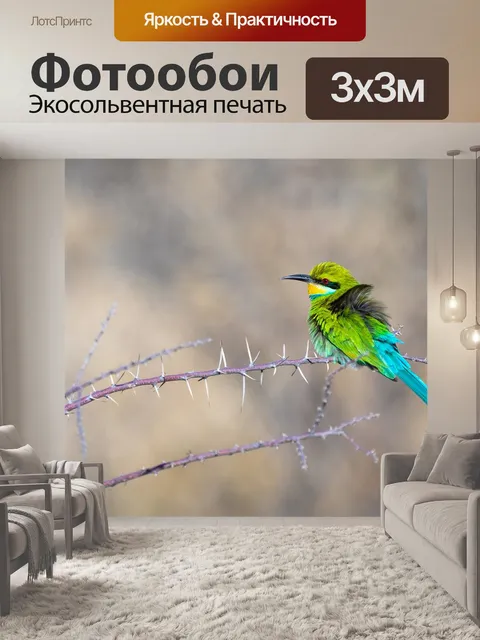 Фотообои Золотистая щурка