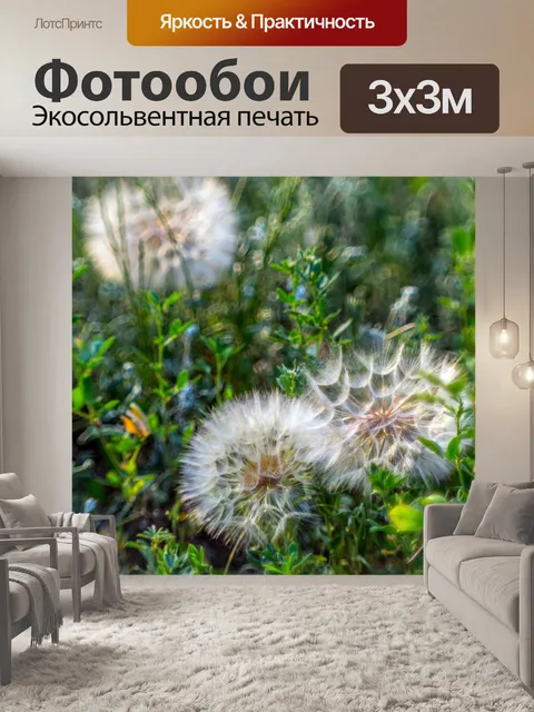 Фотообои Одуванчики