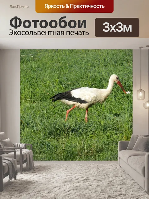 Фотообои Аист