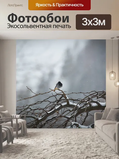 Фотообои Птица