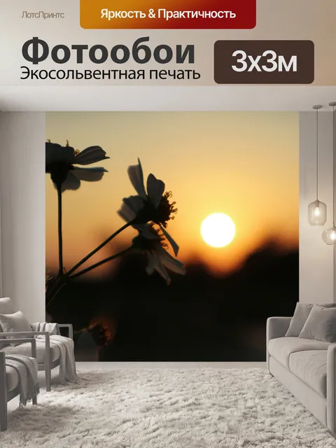 Фотообои Заход солнца