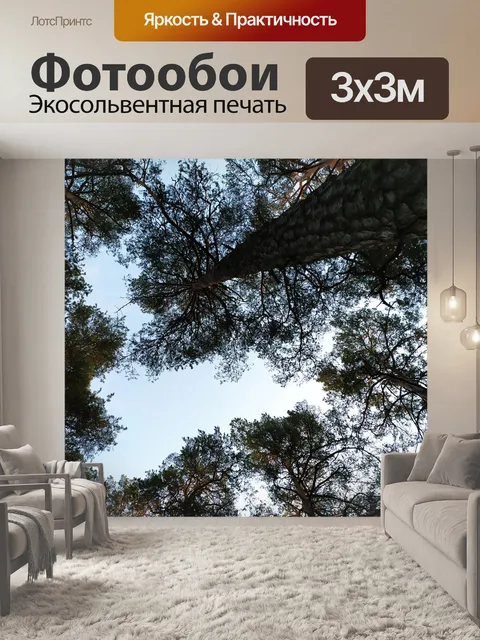Фотообои Лес