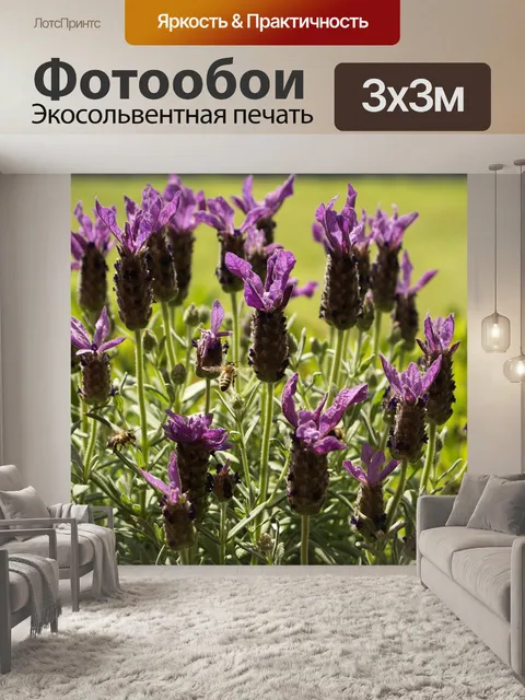 Фотообои Пчела
