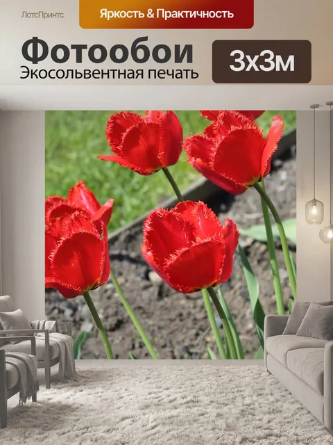 Фотообои Цветы
