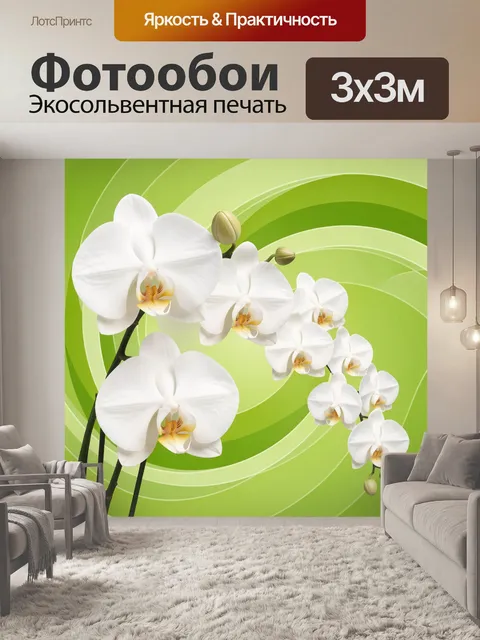 Фотообои Белые орхидеи на зеленом фоне
