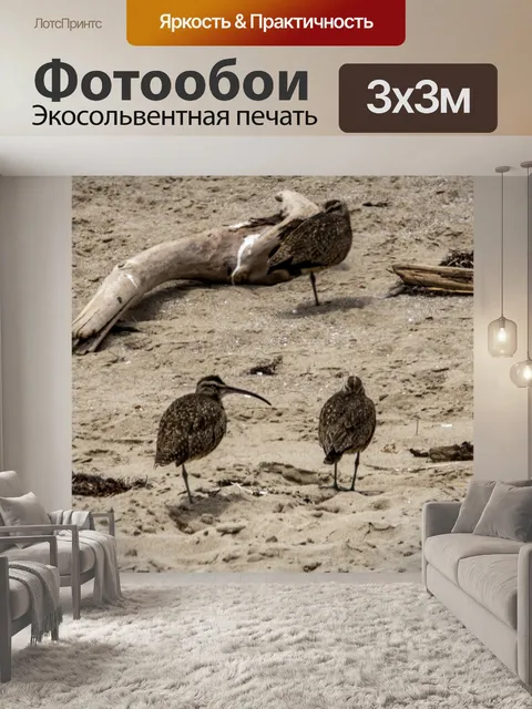 Фотообои куликов