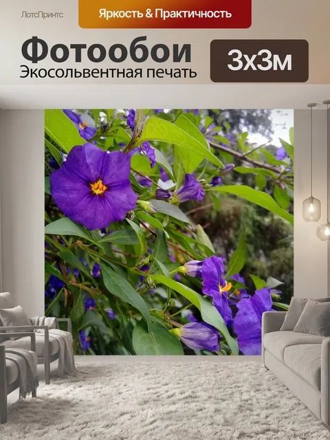 Фотообои Цветы