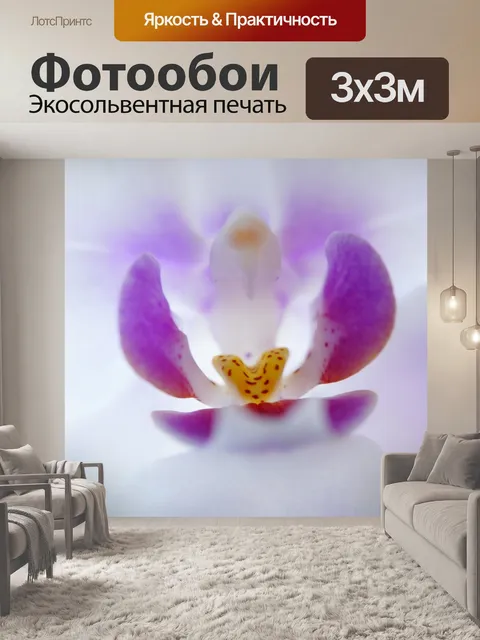 Фотообои Орхидея