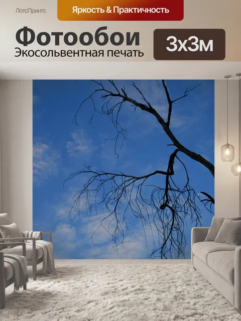 Фотообои Тонкие облака