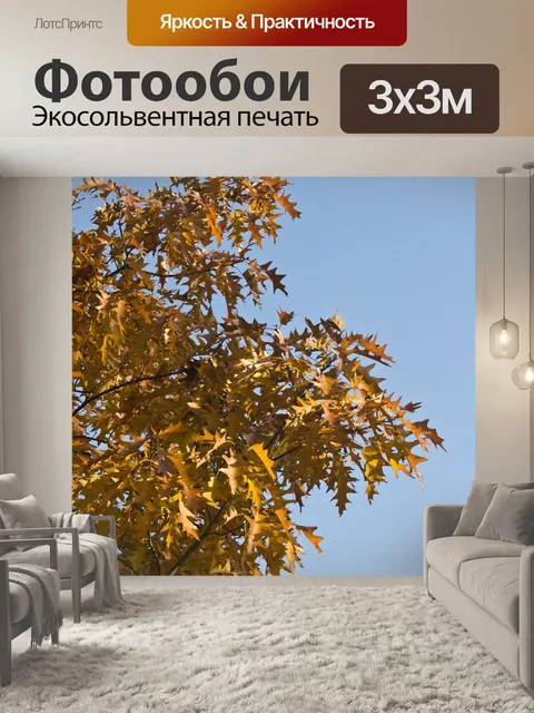 Фотообои Окраска листвы