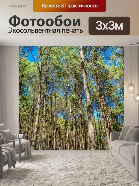 Фотообои Сосновый лес, Пан Унг, Мэй Хонг Сон