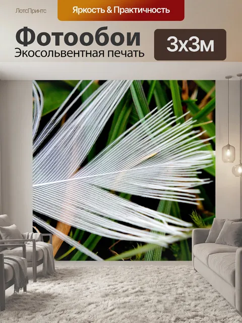 Фотообои перо - макро