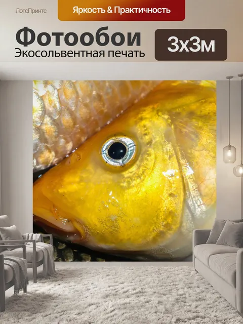 Фотообои Корм для пресноводных рыб
