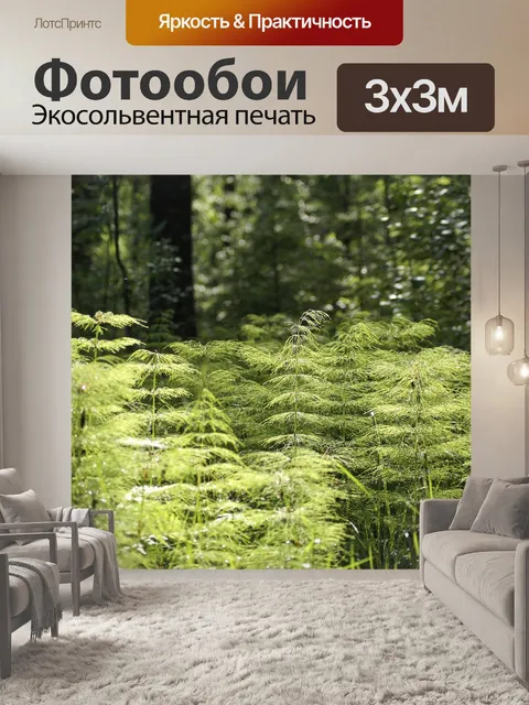 Фотообои Лес