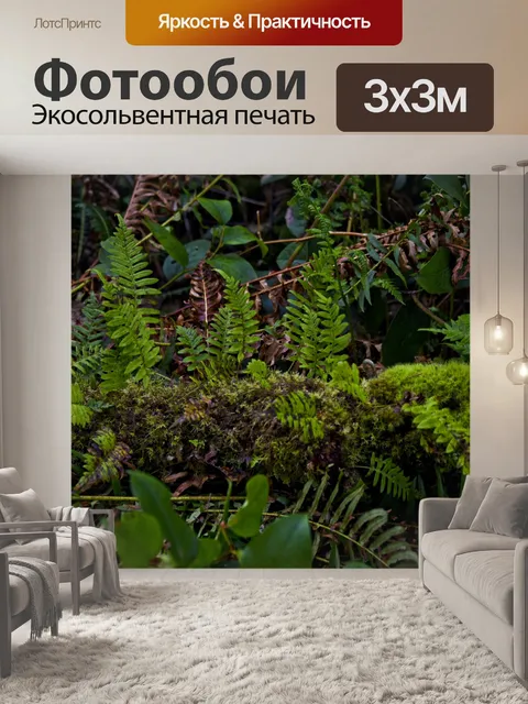 Фотообои Папоротники на дереве