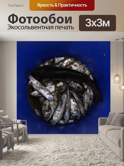 Фотообои Рыбы