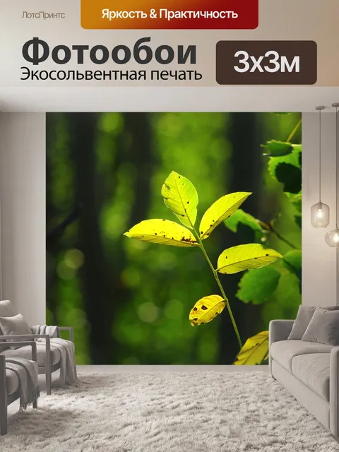 Фотообои Листья