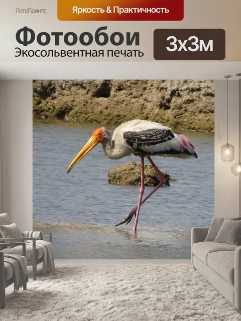 Фотообои Птица