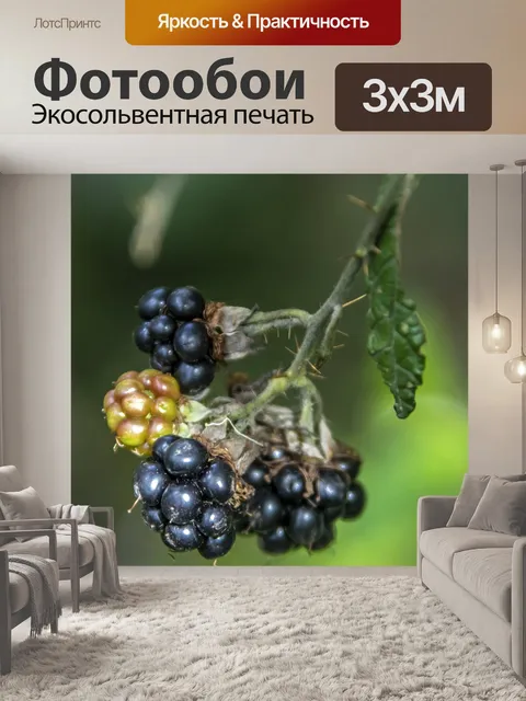 Фотообои Ягода