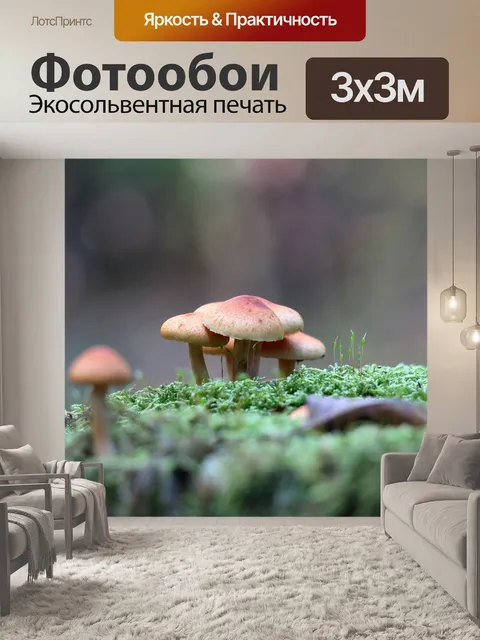 Фотообои Лес