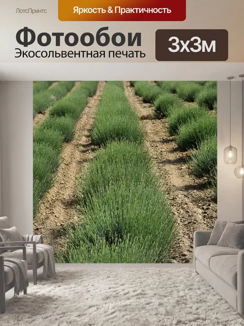 Фотообои Цветы