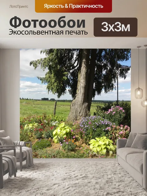 Фотообои Франция