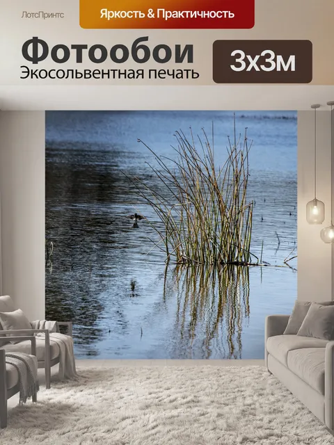 Фотообои Птицы летают с тростника