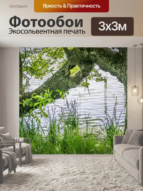 Фотообои Натюрморт