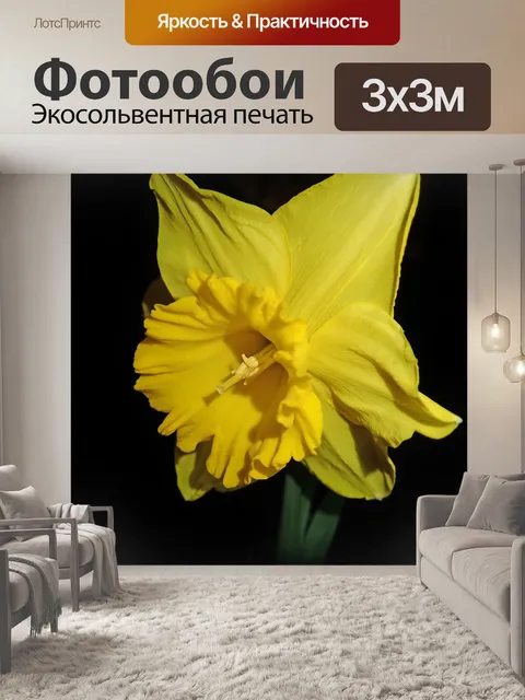 Фотообои Нарцисс