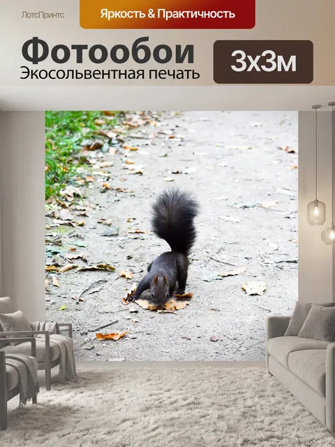 Фотообои Белка