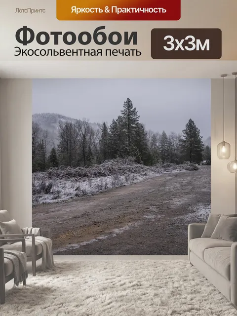 Фотообои Снег на горной дороге