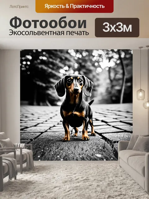 Фотообои такса, стоящая на старинной деревянной мостовой, окруженная зелеными деревьями