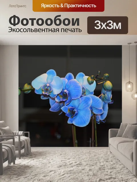 Фотообои Орхидея