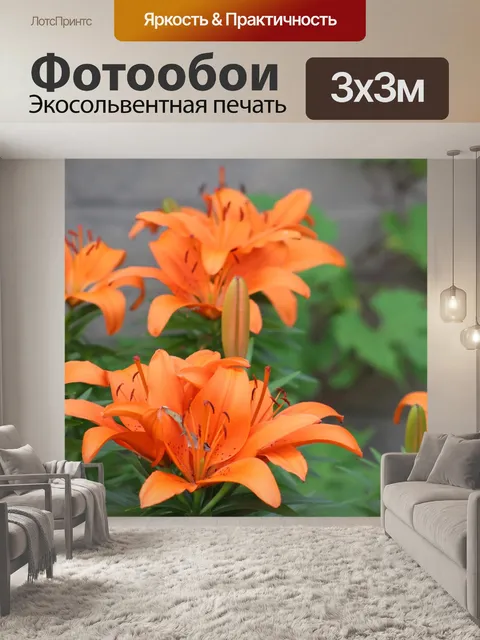 Фотообои Цветы