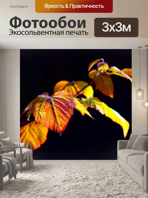 Фотообои Ежевики усик