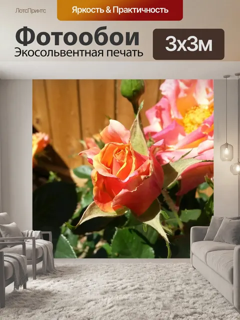 Фотообои Бутон розы