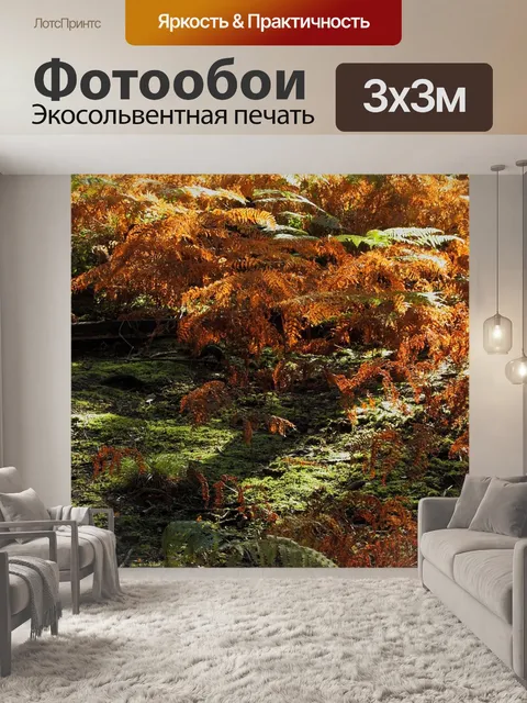 Фотообои Лес