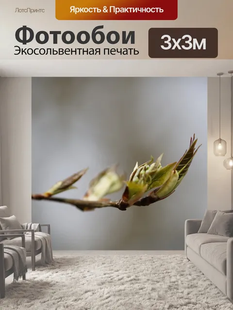 Фотообои Листья