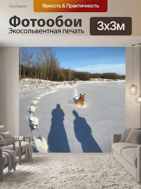 Фотообои Собаки