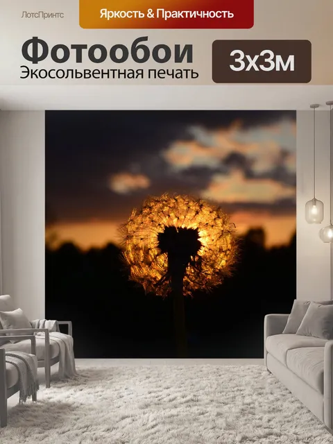 Фотообои Одуванчик