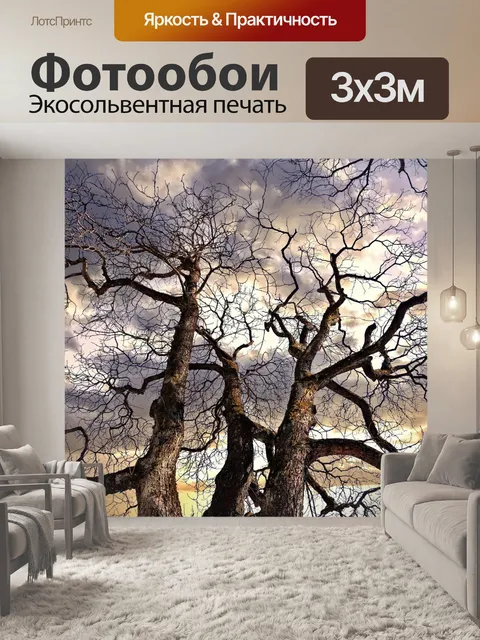 Фотообои Ветви